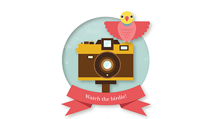 Exquisite camera and birds vector material