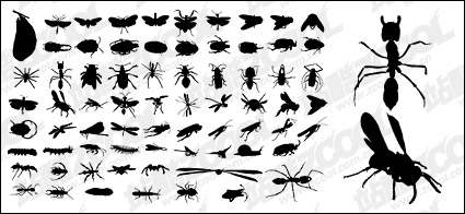 Vector silhouette of various insect material