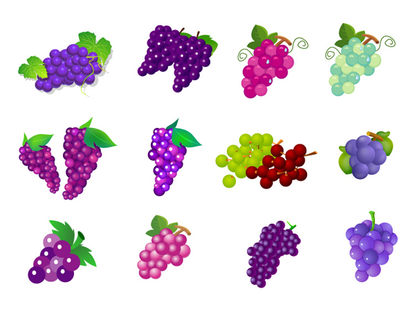 Grapes vector 