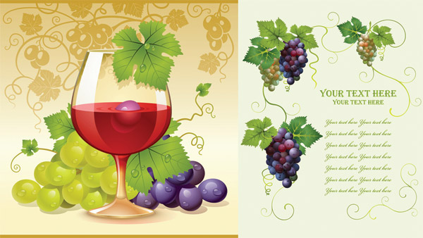 Grapes Vector