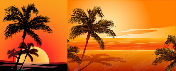 Coconut beach sunset shadow vector