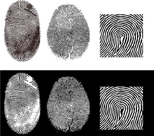 Fingerprint vector material -2