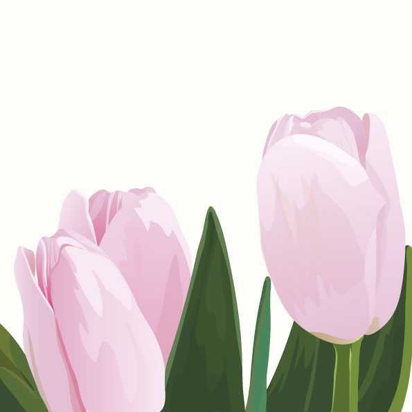 Pink tulips vector material