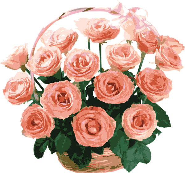 Rose bouquet 05 - vector material