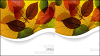 Autumn leaves design vector material -3