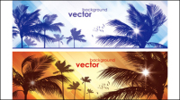 Coco banner 02 - vector material