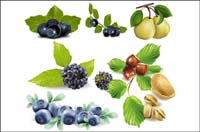 Fruits, blueberries, pears, pistachios, chestnuts vector