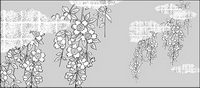 Vector line drawing of flowers-38(Cherry blossoms, clouds, gilded lattice)