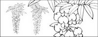 Line drawing of flowers -12