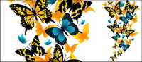 Vector material exquisite butterfly