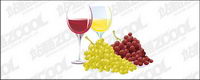 Vector grape and wine material