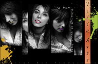 People like PSD design templates