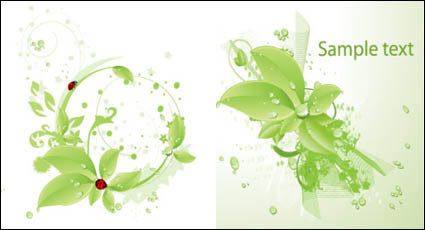 Vector ladybird green leaf material drops