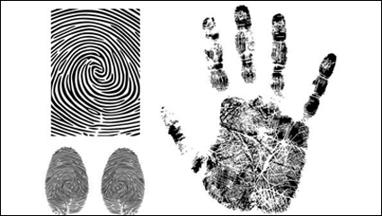 Fingerprint Vector -3