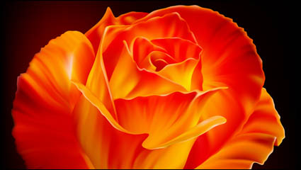 Roses vector material