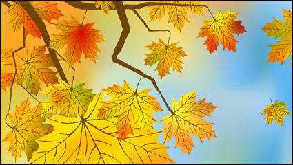 Beautiful maple leaf background 03 - vector