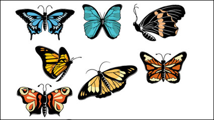 Beautiful butterflies - vector