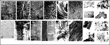 gomedia Chupin texture vector