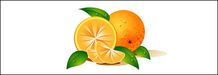 Oranges vector material