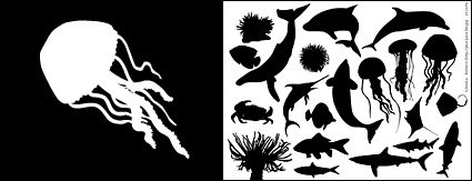 Material elements of marine life in Pictures